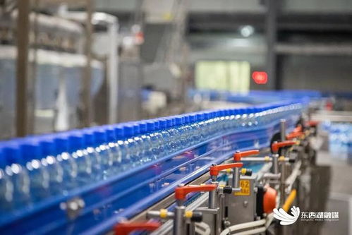 探秘全區首家國家級綠色工廠 餐飲服務的環保革命