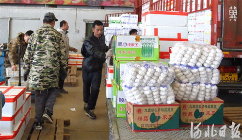 河北邢臺 筑牢節日市場供應防線，守護食用農產品批發安全