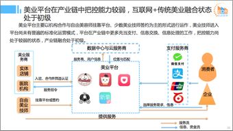 2016年中國互聯網本地服務競爭格局研究報告
